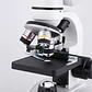 Microscopio Binocular 40x-2500x Led Dual Wf10x Y Wf25x - Miniatura 6