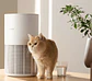 Purificador De Aire Mascotas Xiaomi Pet Care Air Purifier Blanco - Miniatura 1