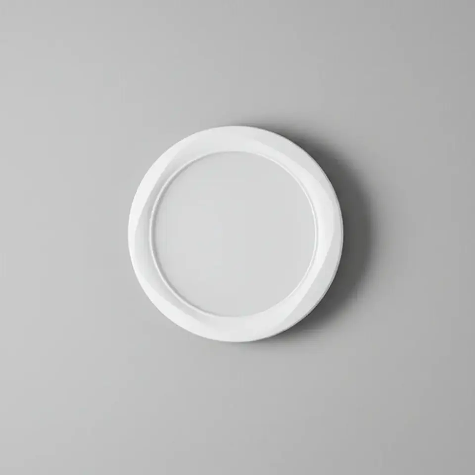 Foco Panel Led Plafon Sobrepuesto 18w Blanca Fria Wellmax 4