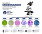 Microscopio Profesional 40x-2000x Wf10x/wf25x Usb Bolso Blanco - Miniatura 5