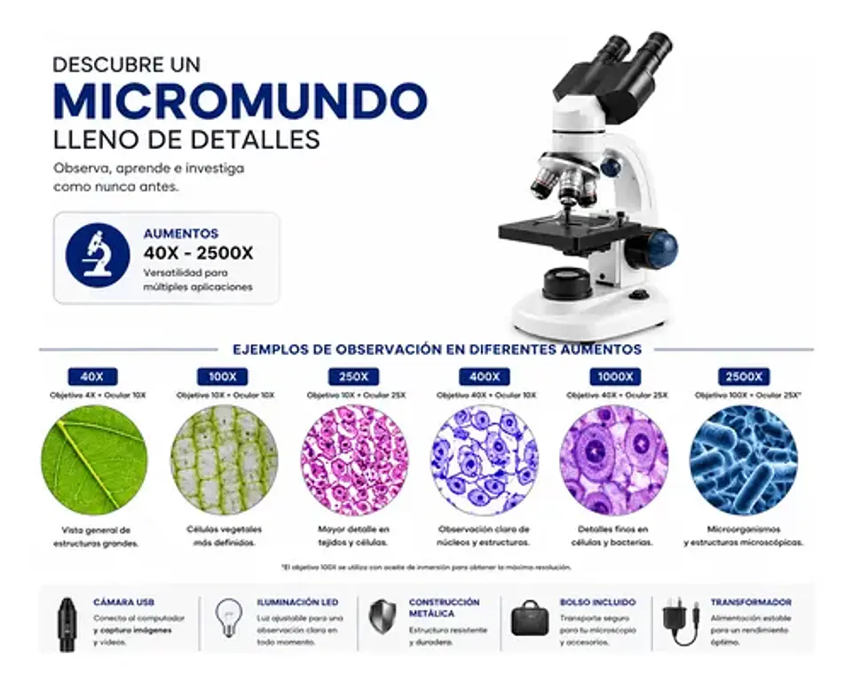Microscopio Profesional 40x-2000x Wf10x/wf25x Usb Bolso Blanco 5