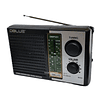 Radio Am Fm Sw1 Dblue 4 Bandas 220v DBRP251 1