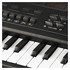 Piano Teclado Electronico Infantil Dblue 61 Teclas Con Mic 2