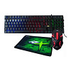 Kit Gamer 3 en 1 Teclado Mouse y Pad ReptileX Led