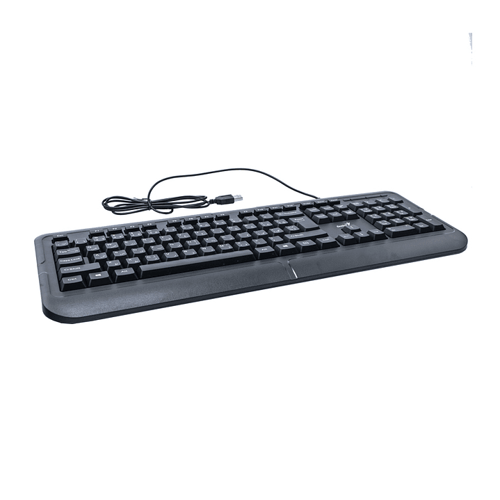 Teclado Genius Clasic Kb-118 Alambrico Usb 3