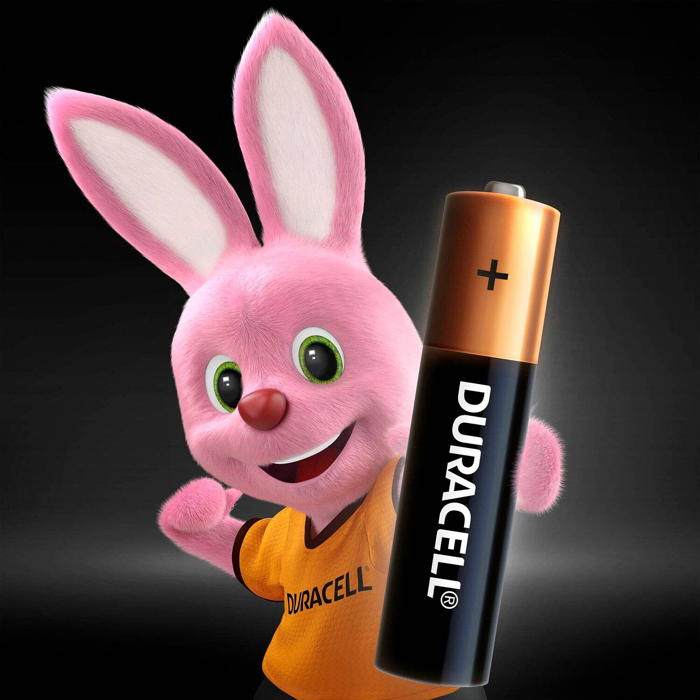 Pack 6 Pilas Duracell AAA Alcalina Tira 2