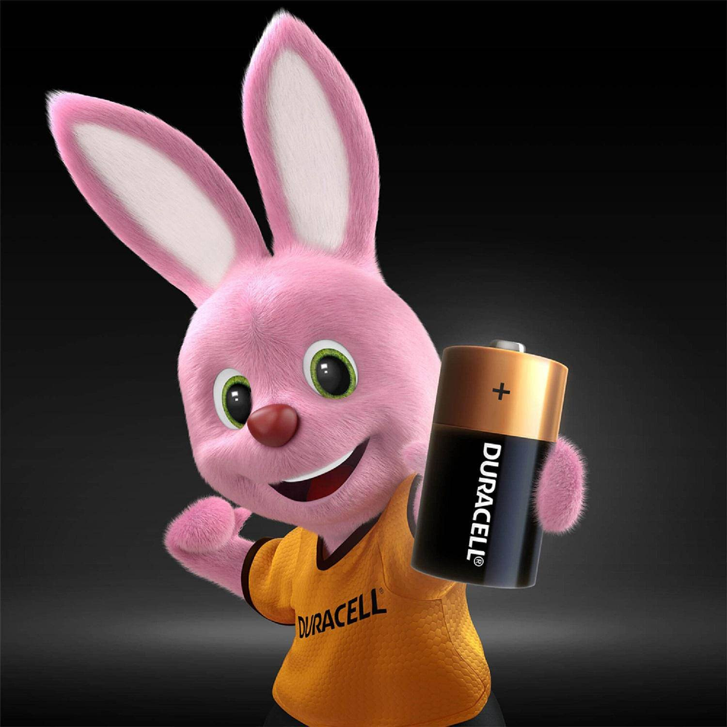 Pack 2 Pilas Duracell C Alcalina 2