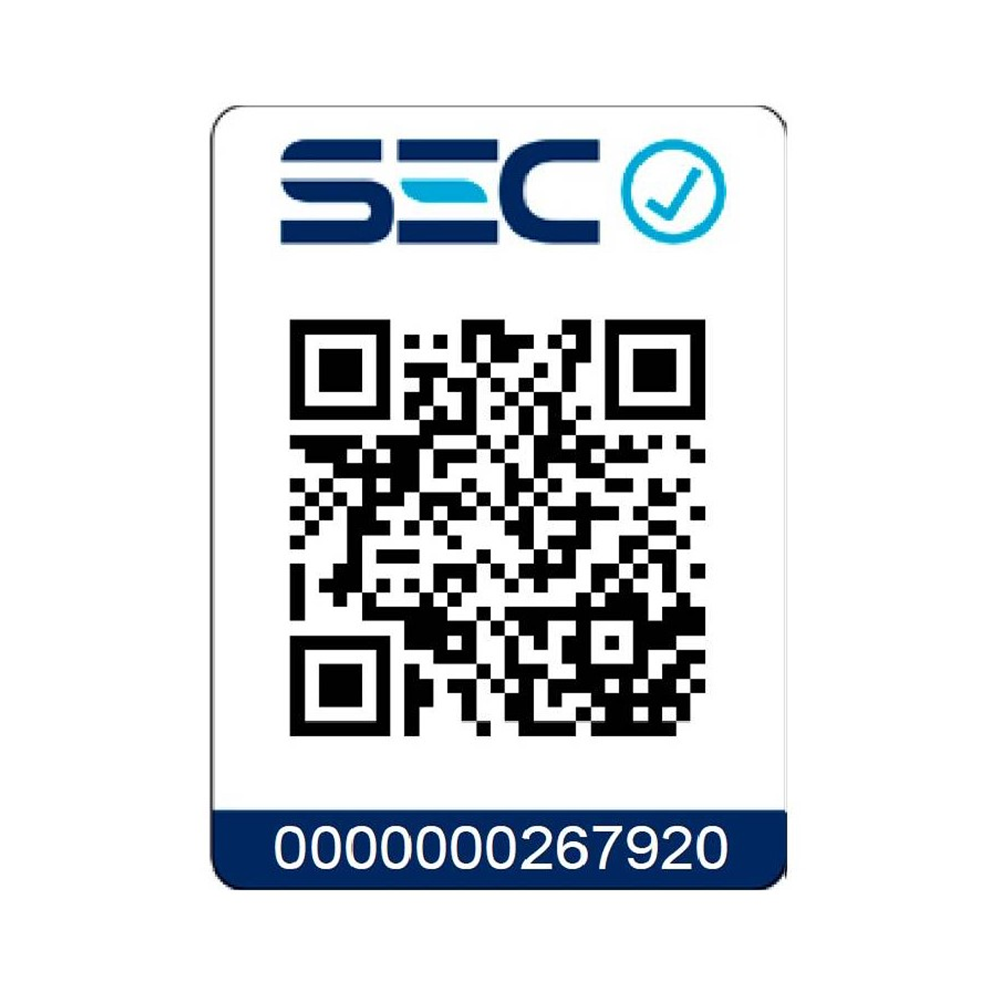 Plancha Ropa a Vapor Black+Decker IRBD204 5