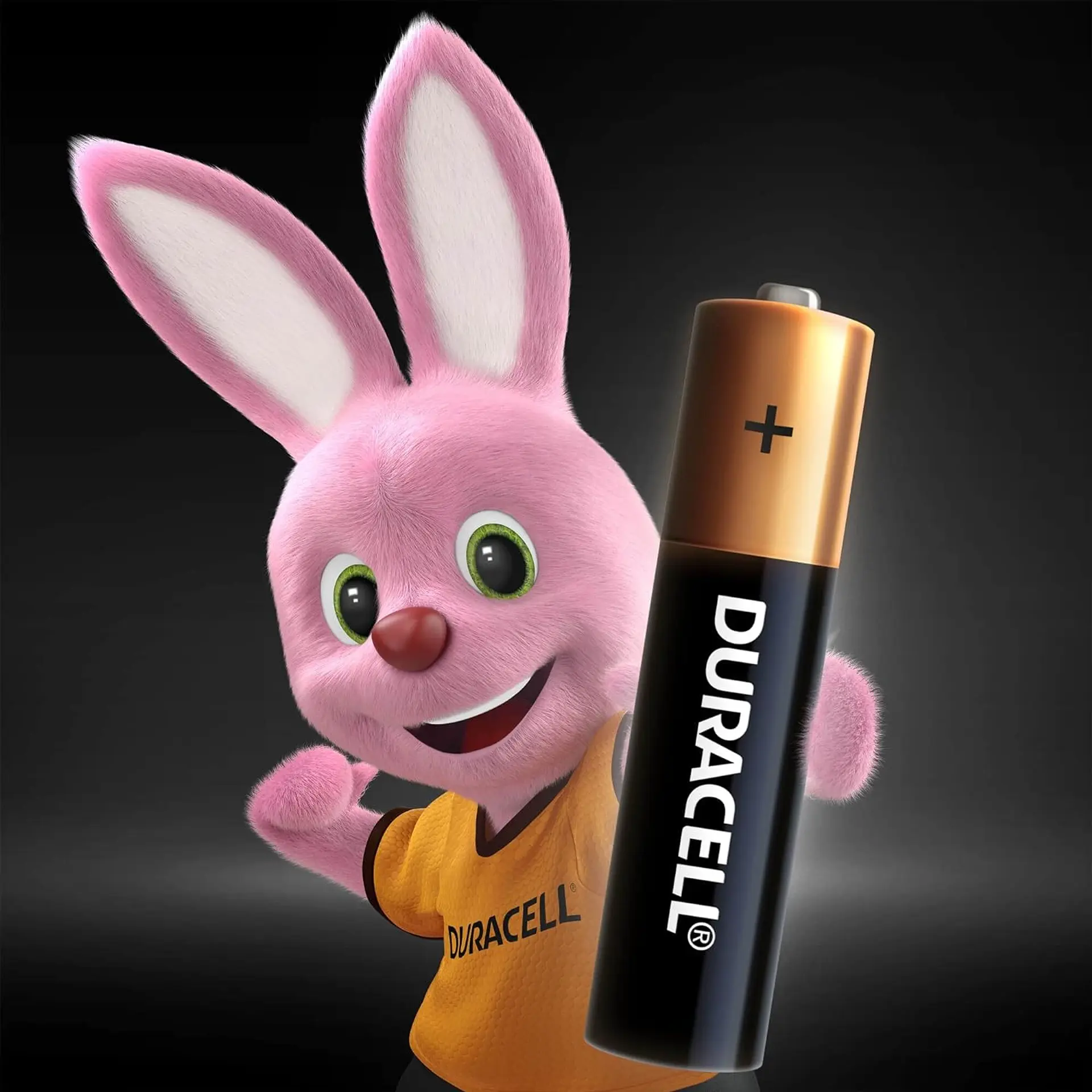 Pack 24 Pilas Duracell AA Alcalina Caja 6