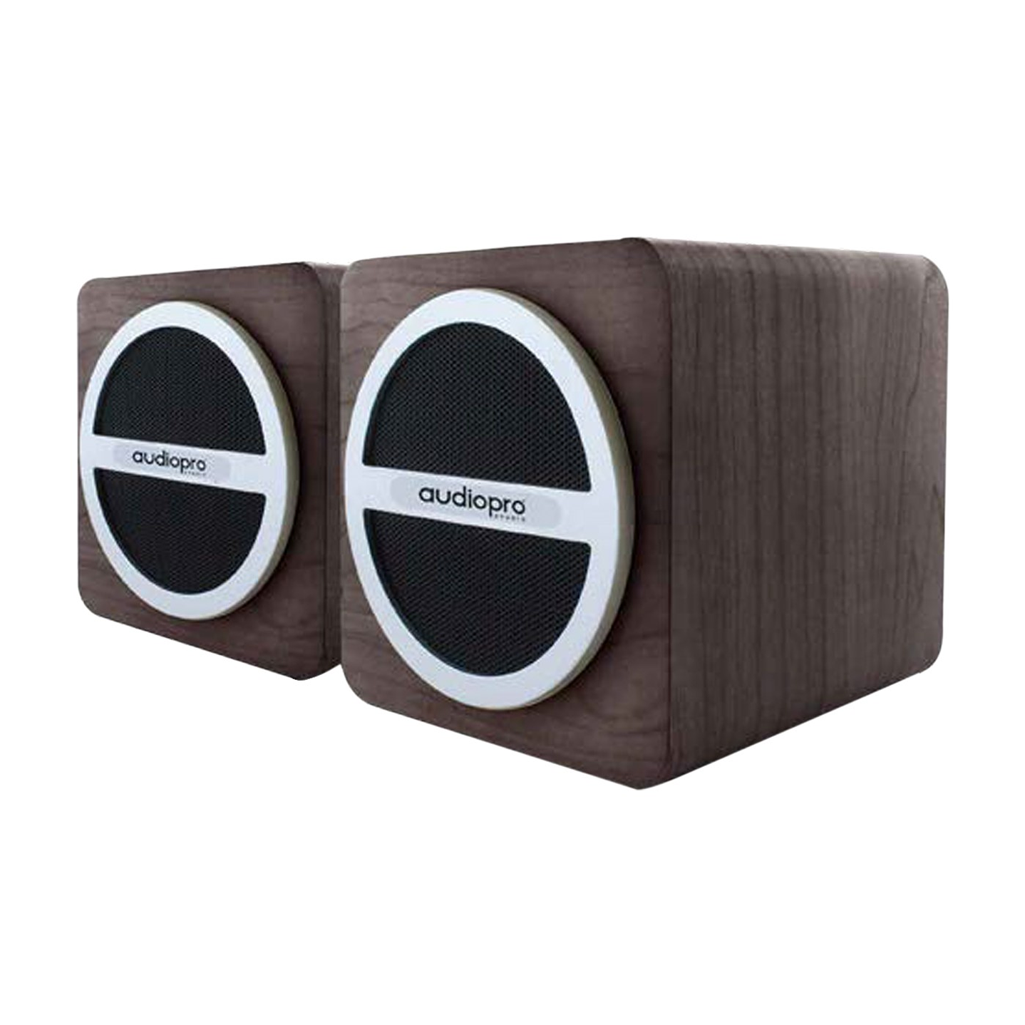 Par De Parlante Portatil Sd/usb/ Fm Y Bt Audiopro AP01016 1