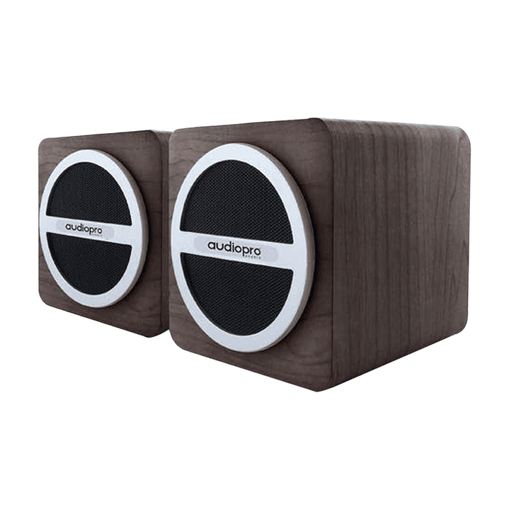 Par De Parlante Portatil Sd/usb/ Fm Y Bt Audiopro AP01016 1