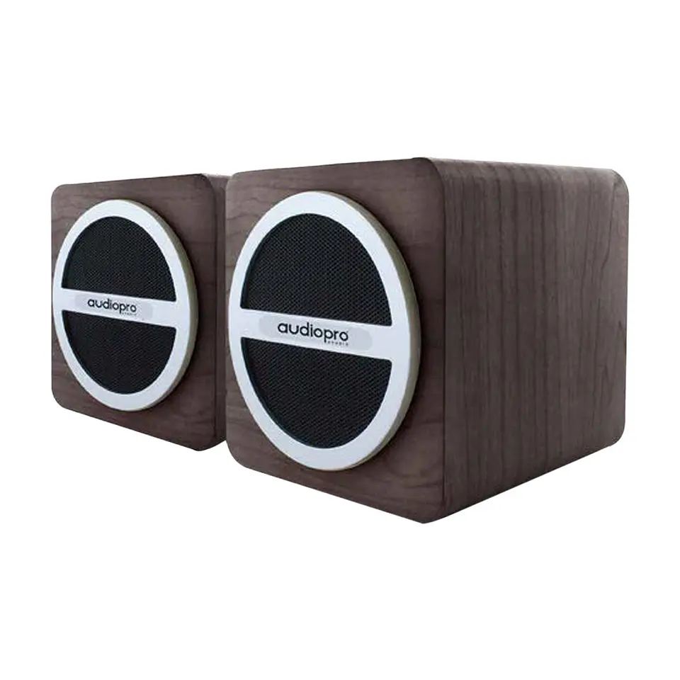 Par De Parlante Portatil Sd/usb/ Fm Y Bt Audiopro AP01016 1