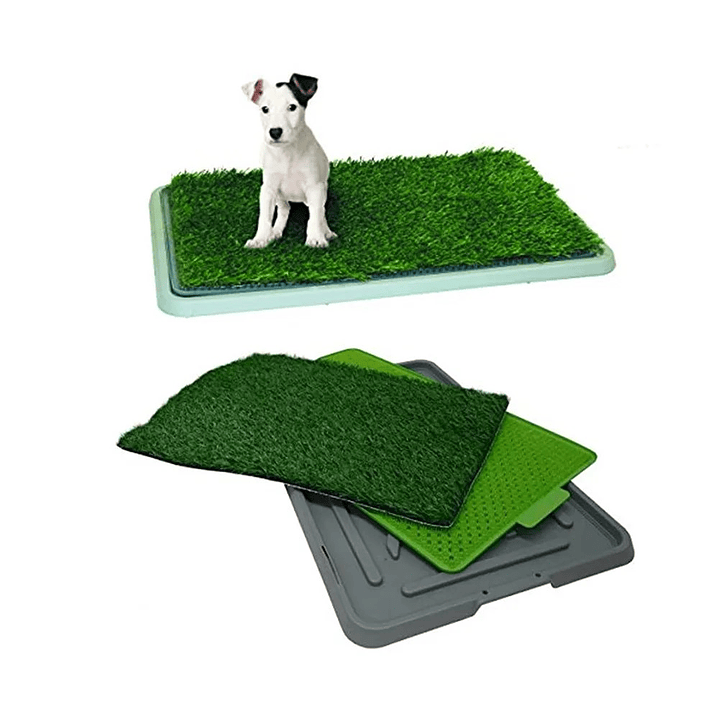 Baño Ecológico Para Mascotas Perros Potty 43x68 cm 4
