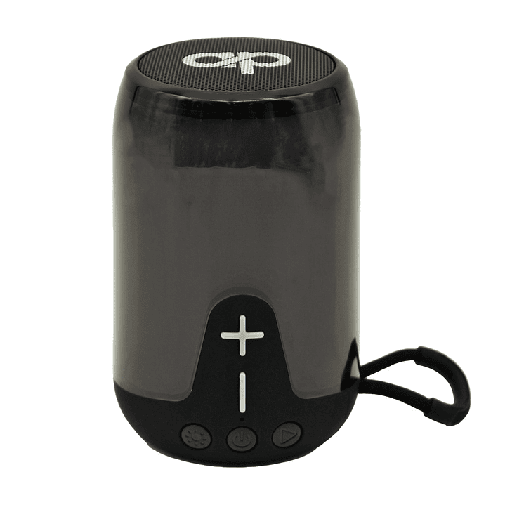 Parlante Portatil BT Led SD/USB/Tipo-C/FM Audiopro AP02105BK 3