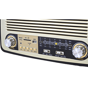 Radio Retro BT Vintage Audiopro Portátil AP02051