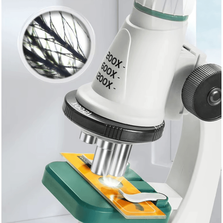 Microscopio Infantil Educativo Aumento 1200X 55277 5
