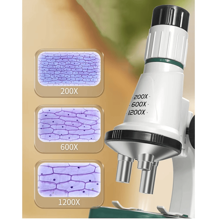 Microscopio Infantil Educativo Aumento 1200X 55277 6