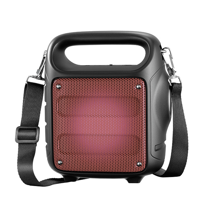 Parlante Portátil Bt Recargable FM Linterna AP02038 Audiopro 2