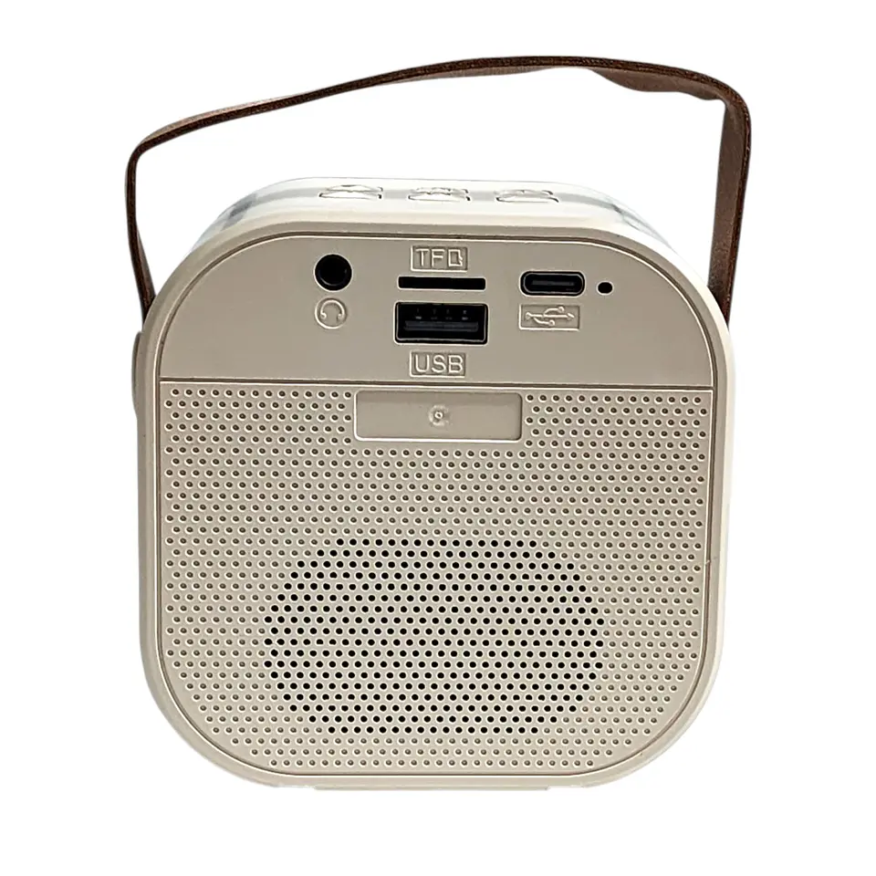 Mini Parlante Karaoke TWS 731W Luz RGB + 2 Micrófonos Philco 6