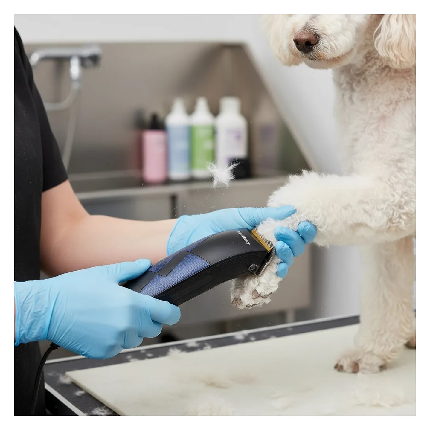 Cortadora de Pelo para Mascotas Vet Clipper Azul Blaupunkt 8