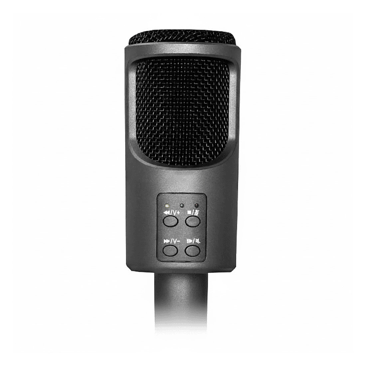 Micrófono Condensador USB Audiopro AP02030 3