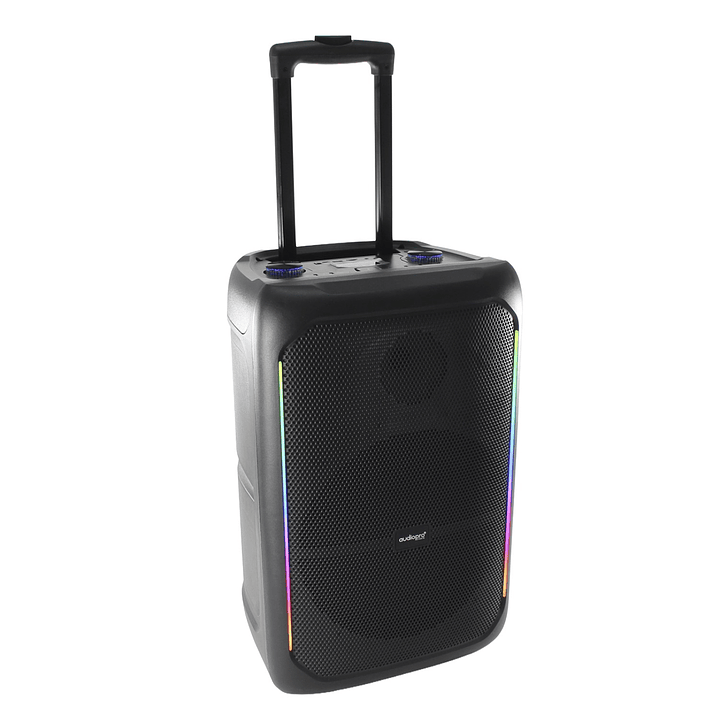 Parlante karaoke Zentro Max AP02099 BT + Micrófono Audiopro 5000W 2