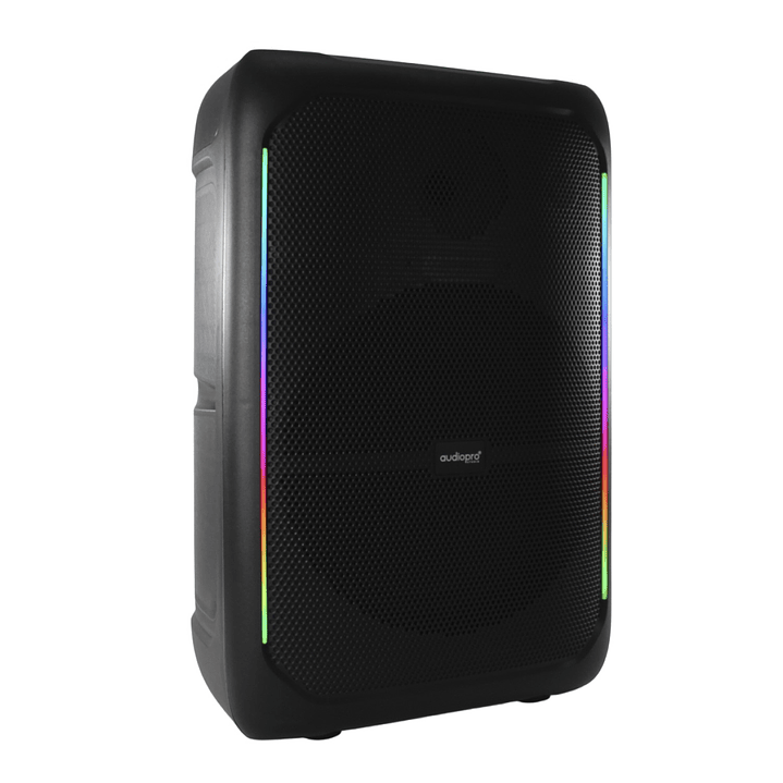 Parlante karaoke Zentro Max AP02099 BT + Micrófono Audiopro 5000W 4