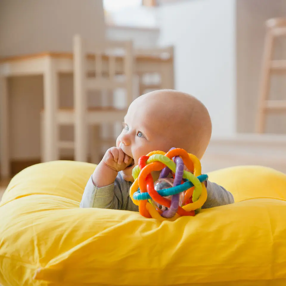 Pelota Sonajero Multicolor Bendy Playgro 6