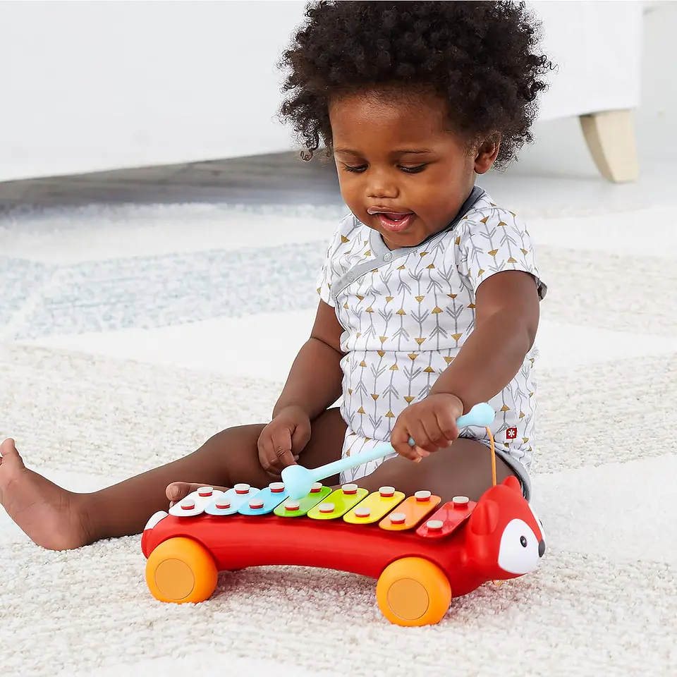 Xilófono Zorrito Skip Hop Infantil 8 Notas 6