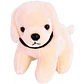 Set Juguete Peluquería Cuidado Mascota Para Niños - Miniatura 2