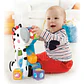 Bloques De Actividades Cebra Fisher Price CGN63 - Miniatura 2