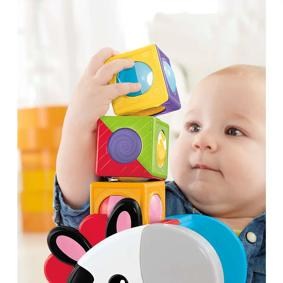 Bloques De Actividades Cebra Fisher Price CGN63 3