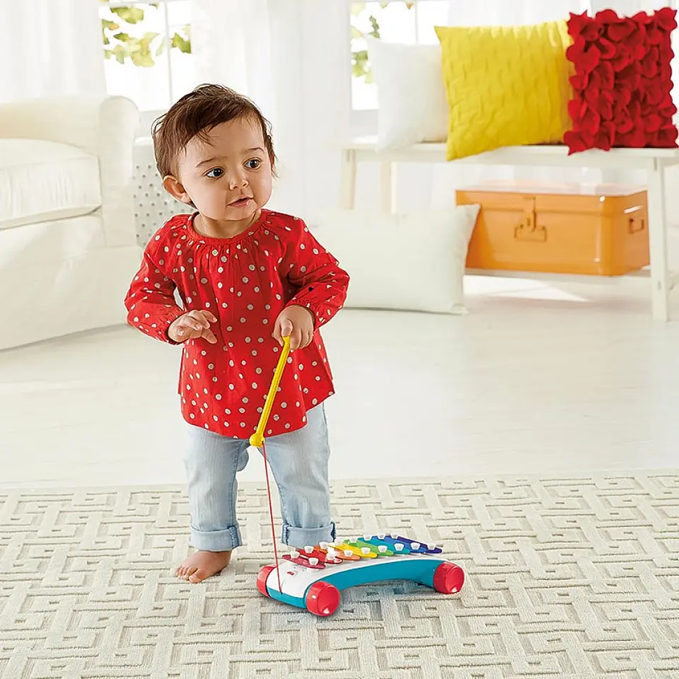 Juguete Xilófono Musical Fisher Price CMY09 6