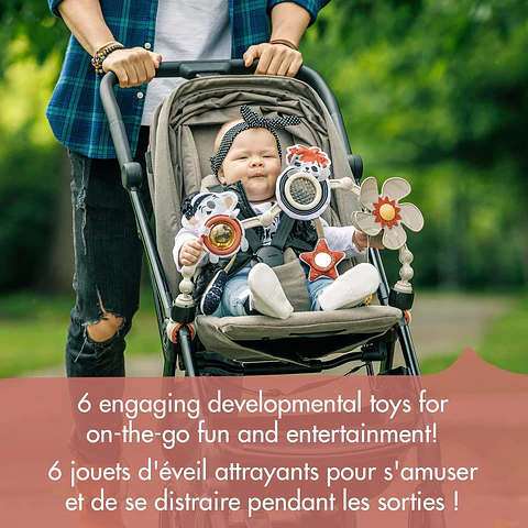 Arco Para Coche Tiny Rockers Tiny love