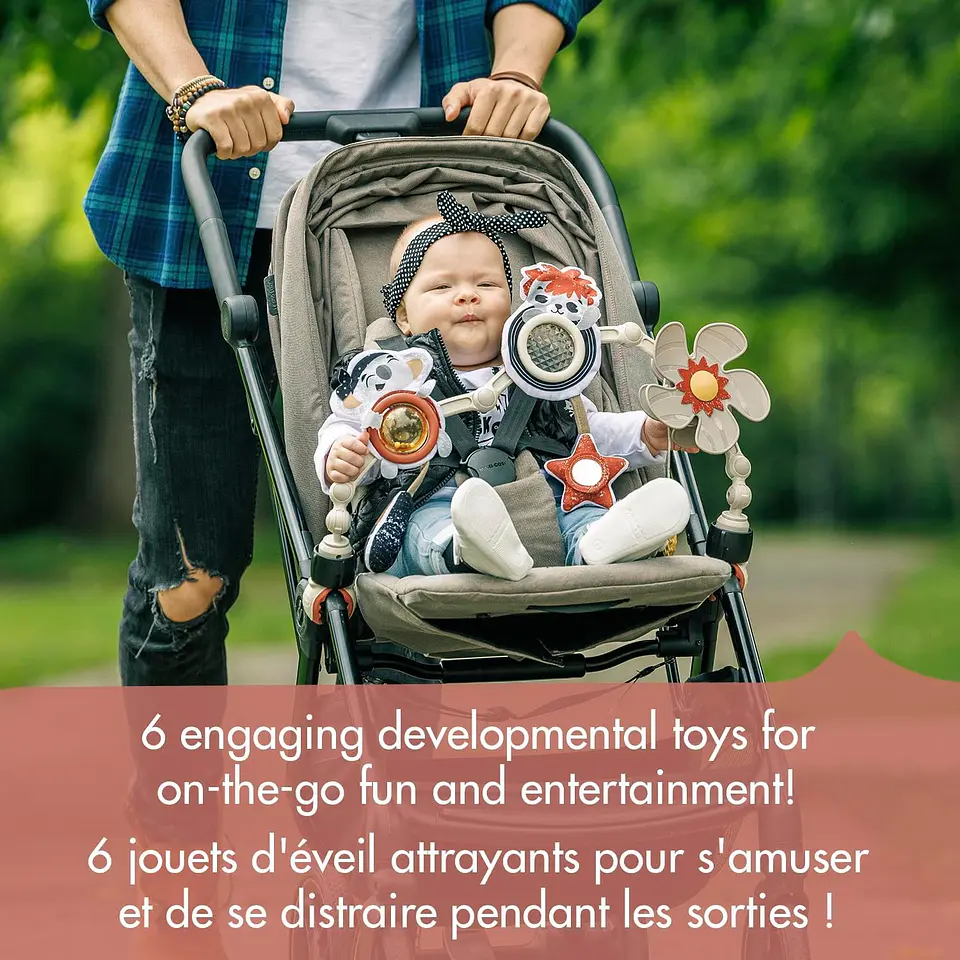 Arco Para Coche Tiny Rockers Tiny love 2