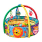 Gimnasio y Piscina de Juego Didáctico 5 en 1 Playgro 0184007 - Miniatura 1