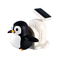 Juguete científico Solar Vida de Pingüino - Miniatura 1