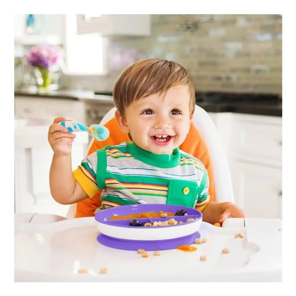 Plato Bebè con succión y División Stay Put Munchkin Morado 5