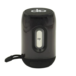 Parlante Portatil BT Led SD/USB/Tipo-C/FM Audiopro AP02105BK