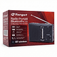 Radio Portátil BT Target TT-CF15BT 3 Bandas USB SD Recargable - Miniatura 5