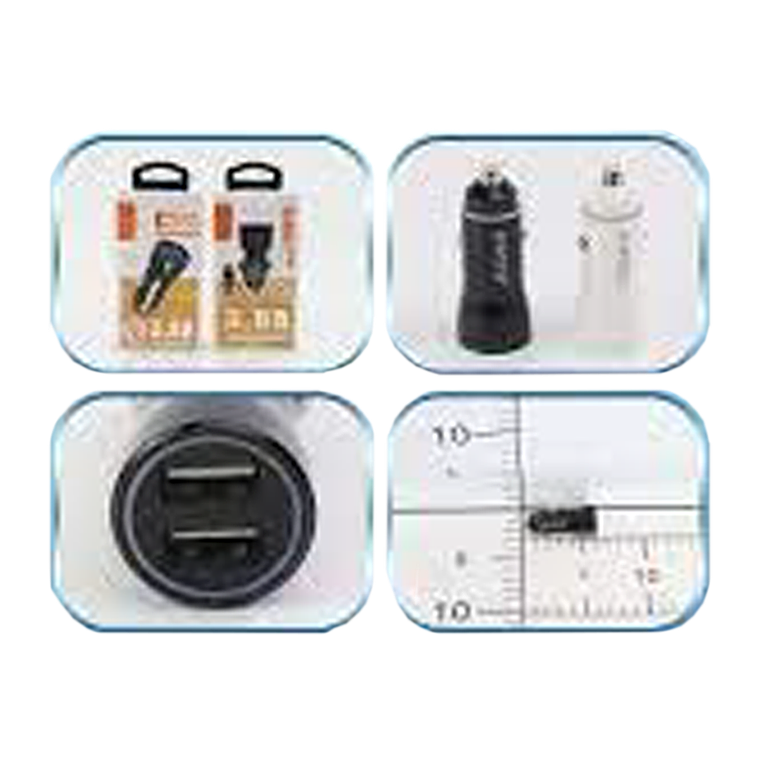 Cargador vehículo  2