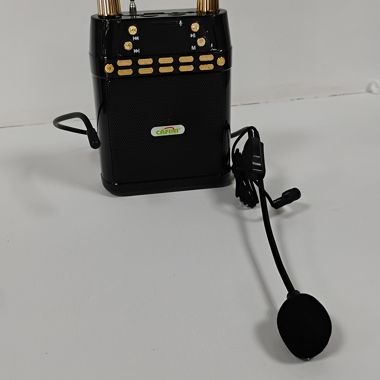 Megáfono portátil 1