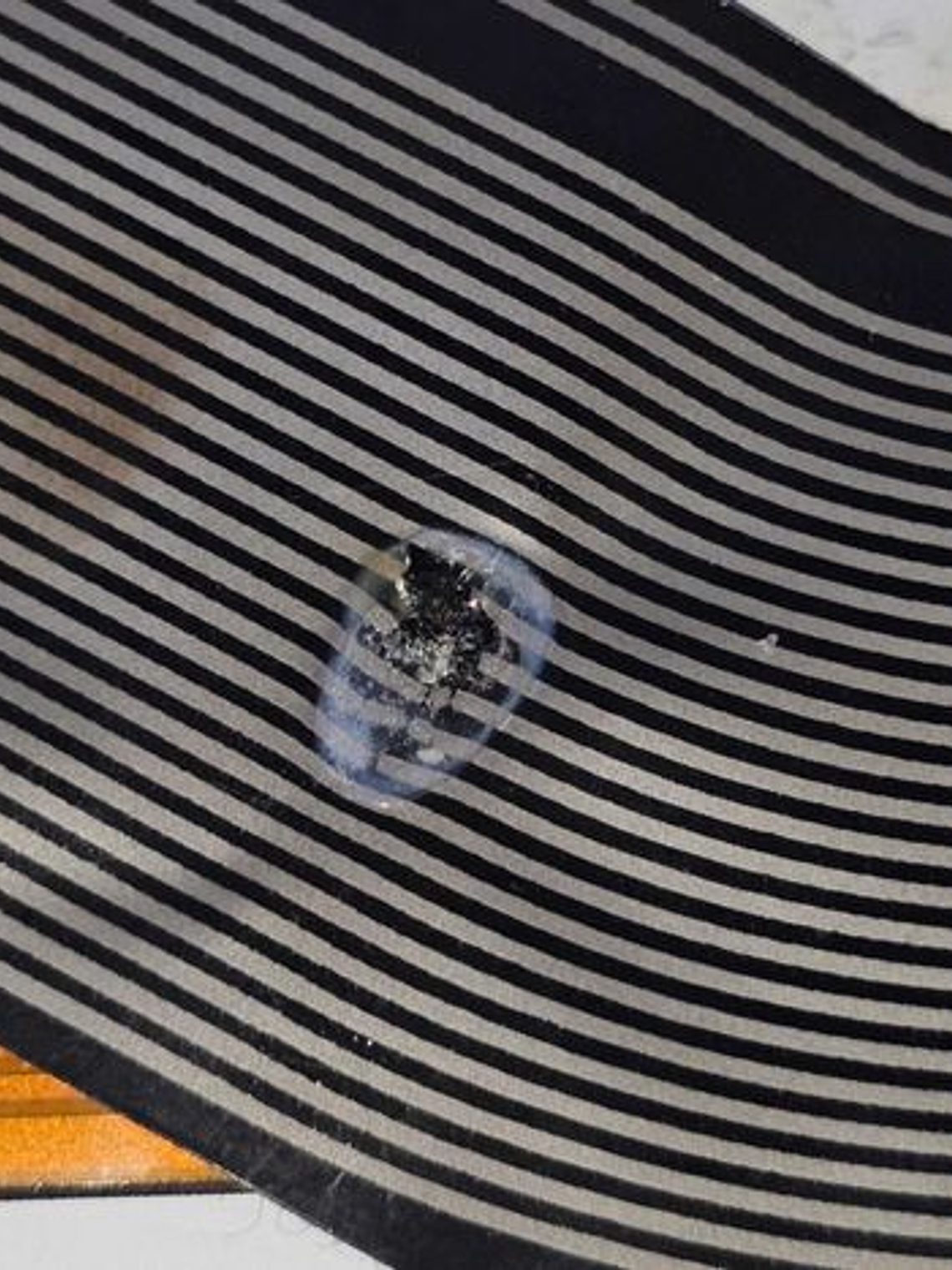 Tecla para Teclado de Notebook Portatil Dell - Varios 5