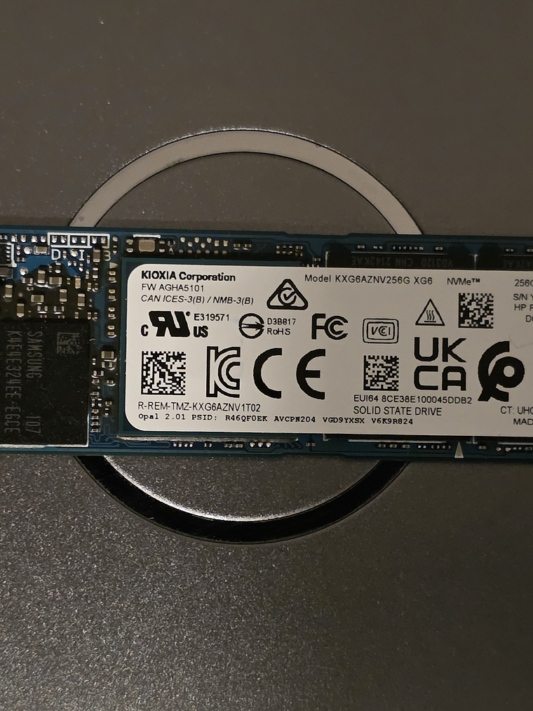SSD NVMe Kioxia XG8 256GB HP 1