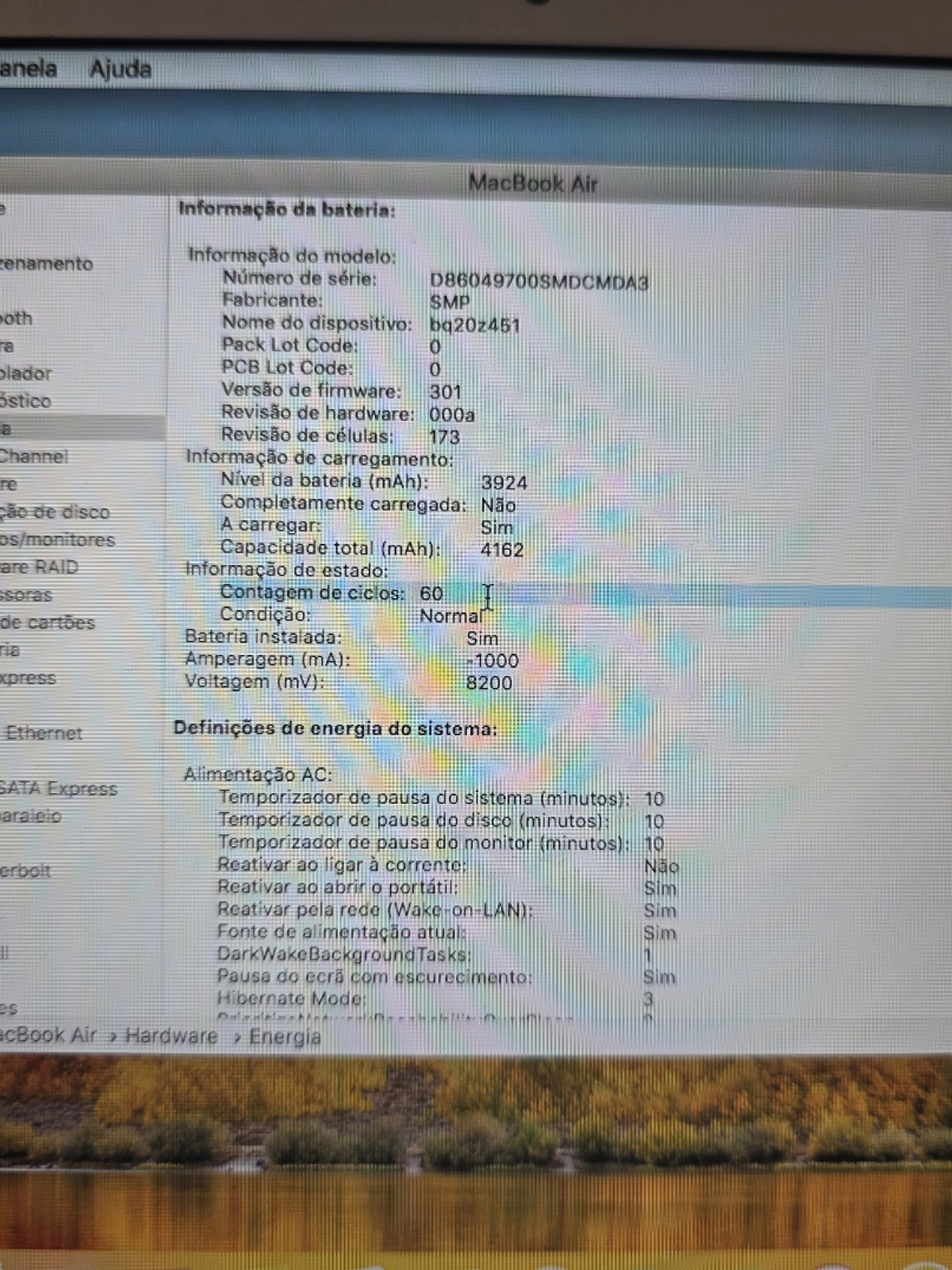 Peças do MacBook Air A1370 EMC 2393 - 2010 - 4B0 20