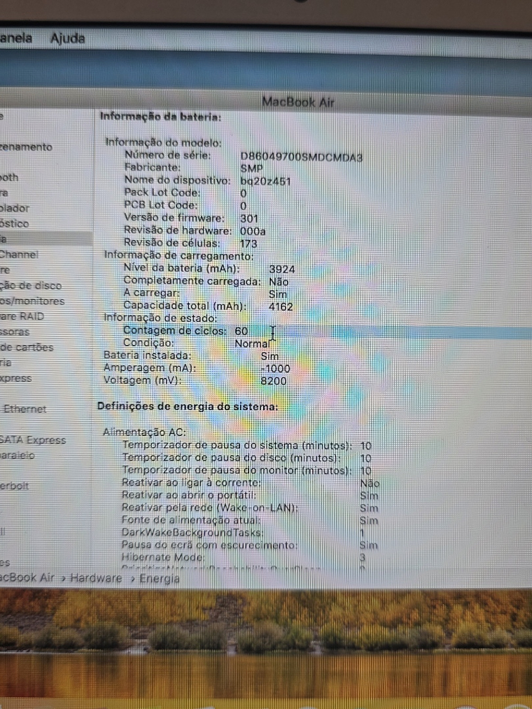 Peças do MacBook Air A1370 EMC 2393 - 2010 - 4B0 20