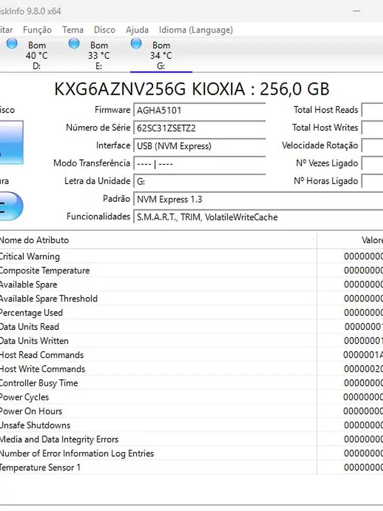 Kioxia 256GB NVMe M.2 KXG6AZNV256G Entre 70% e 90% Saude 2