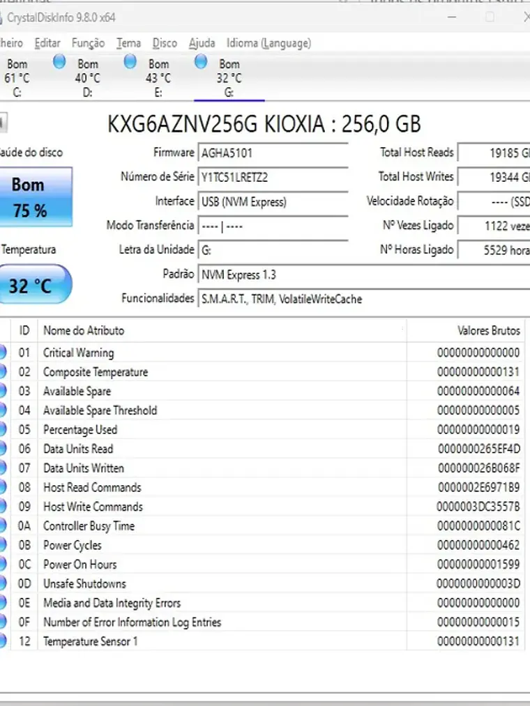 Nvme 256Gb - Vários 1