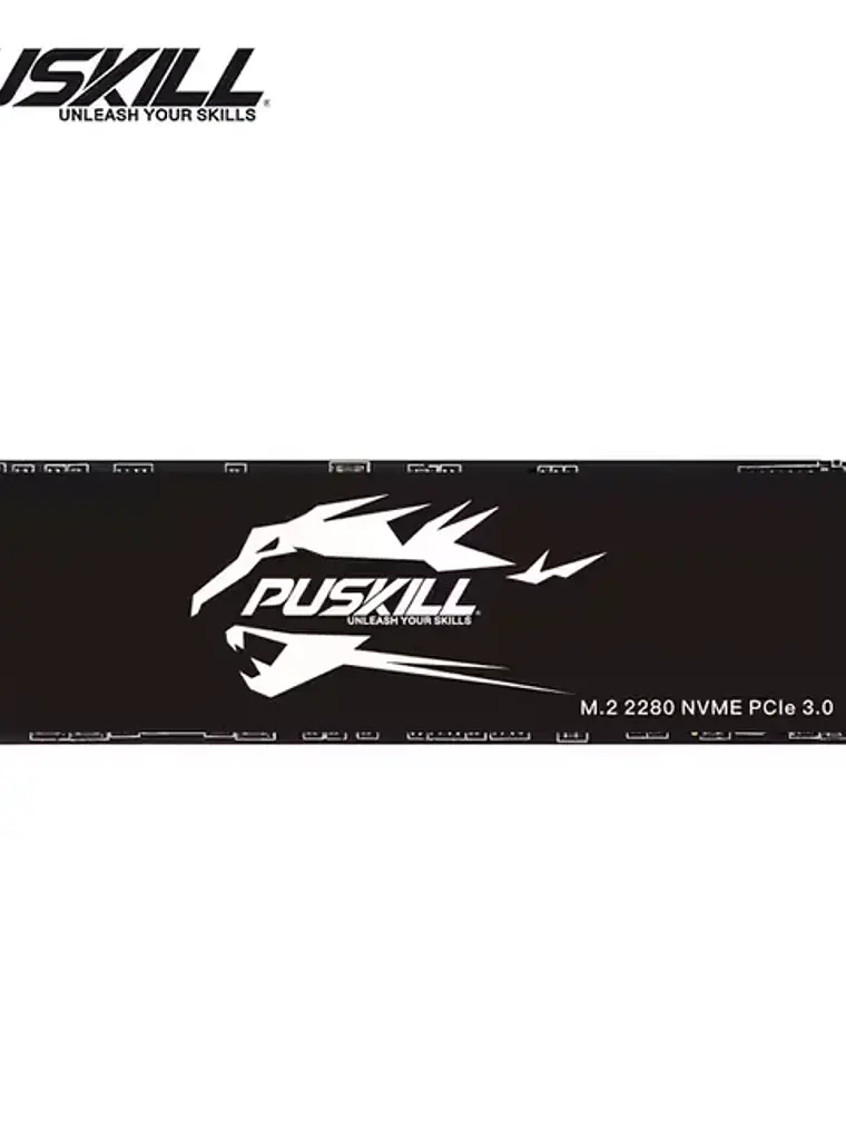 SSD PUSKILL NVMe M.2 2280 1TB 5