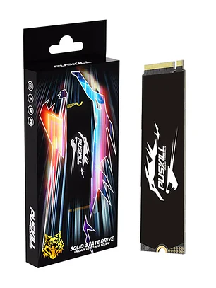 SSD PUSKILL NVMe M.2 2280 1TB